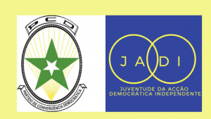Juventude de PCD e ADI no balanço do ano 2019
