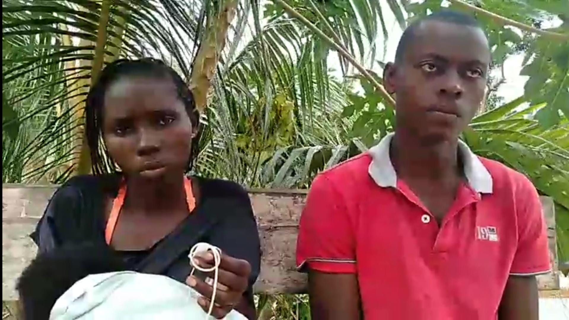 Rádio Somos Todos Primos