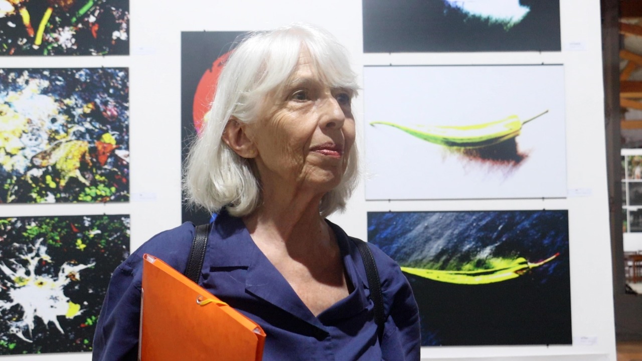 Isabel Castro Henriques.