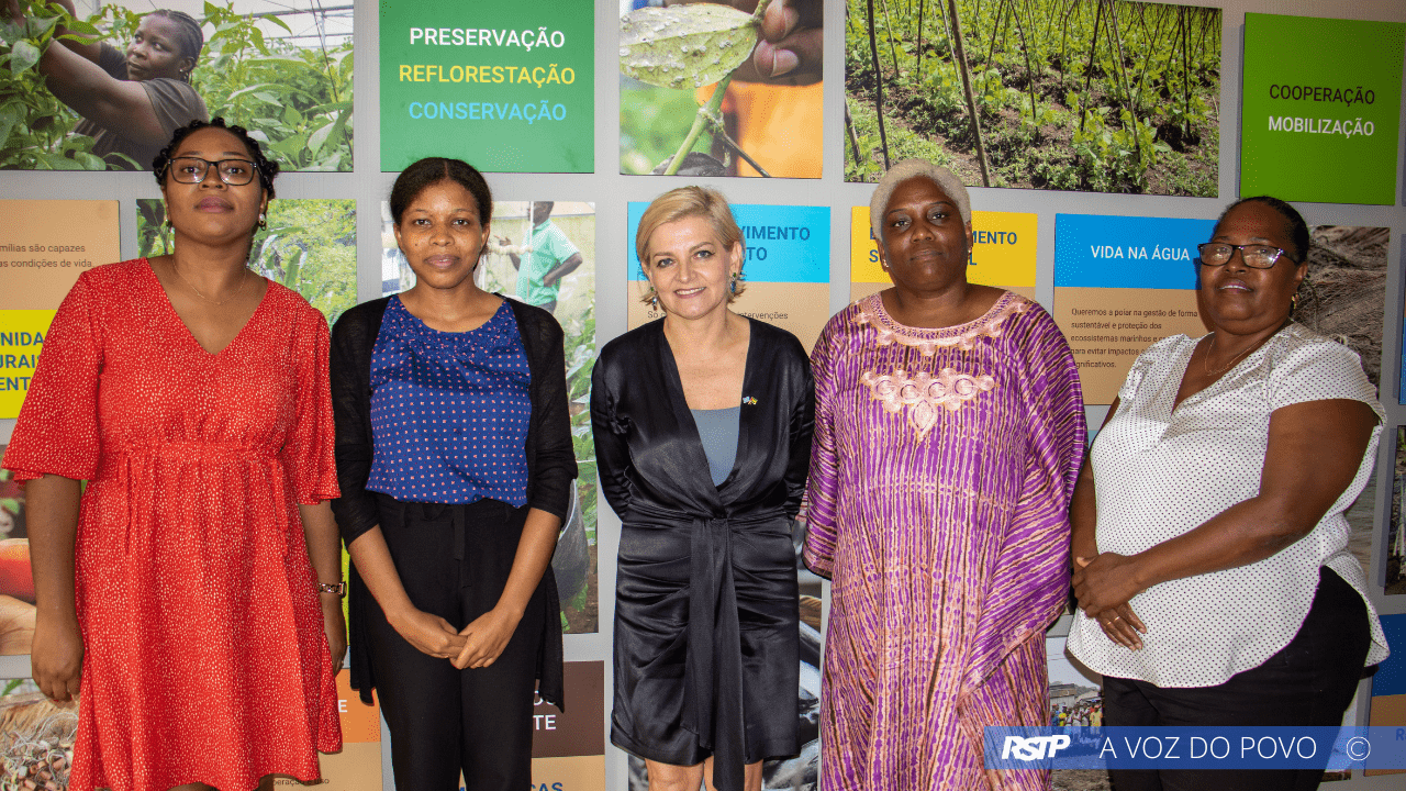 Rádio Somos Todos Primos