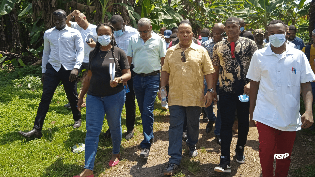 Rádio Somos Todos Primos