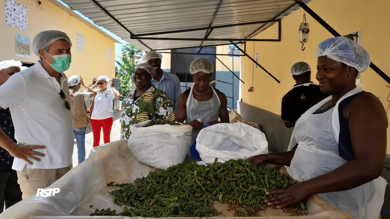 Rádio Somos Todos Primos