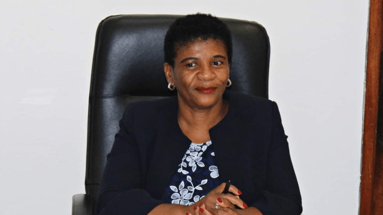 Rádio Somos Todos Primos