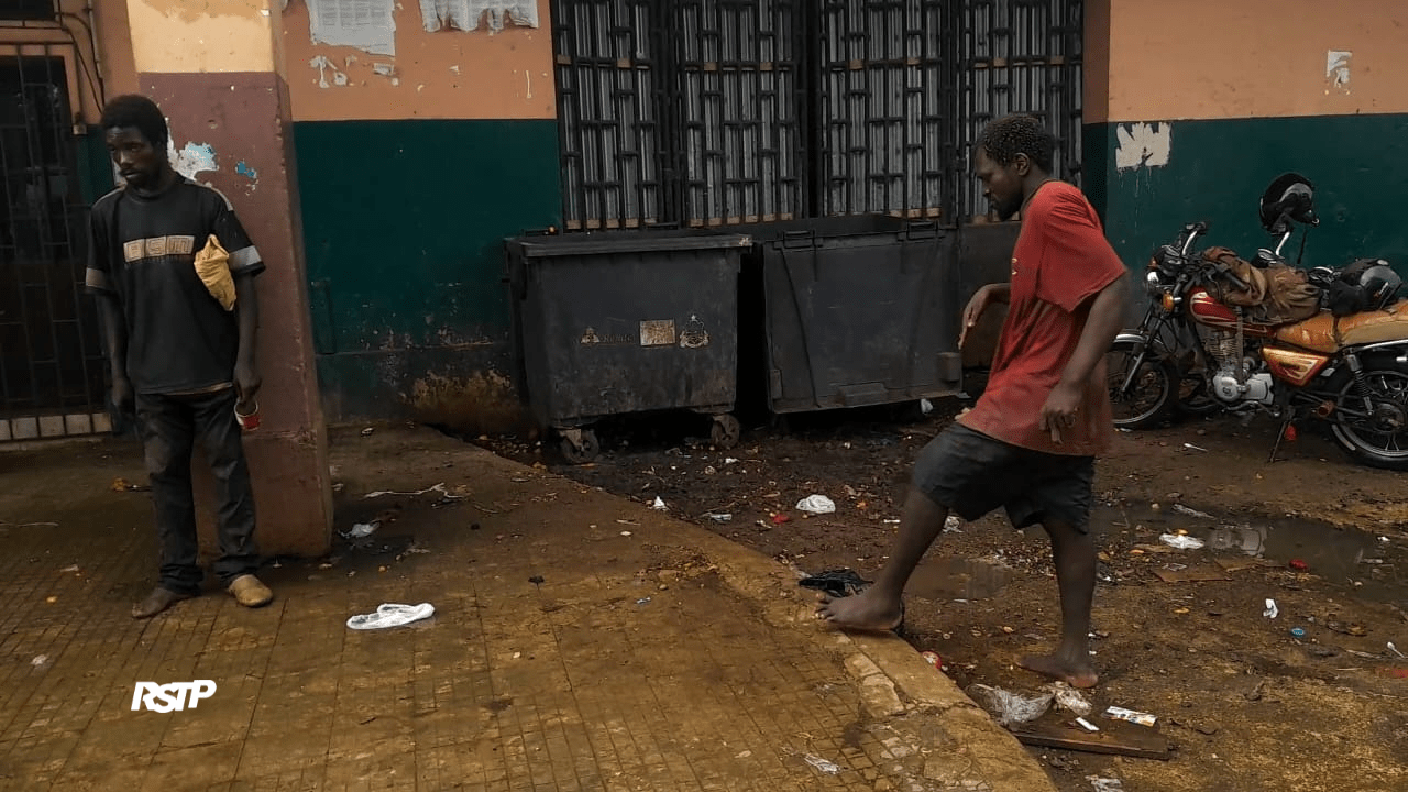 Rádio Somos Todos Primos