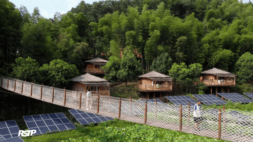 Floresta de BAMBU na China