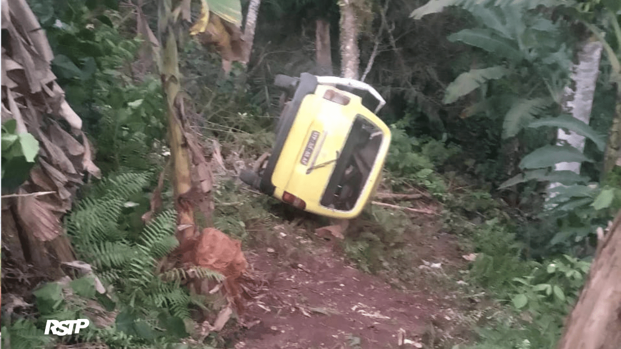 Rádio Somos Todos Primos