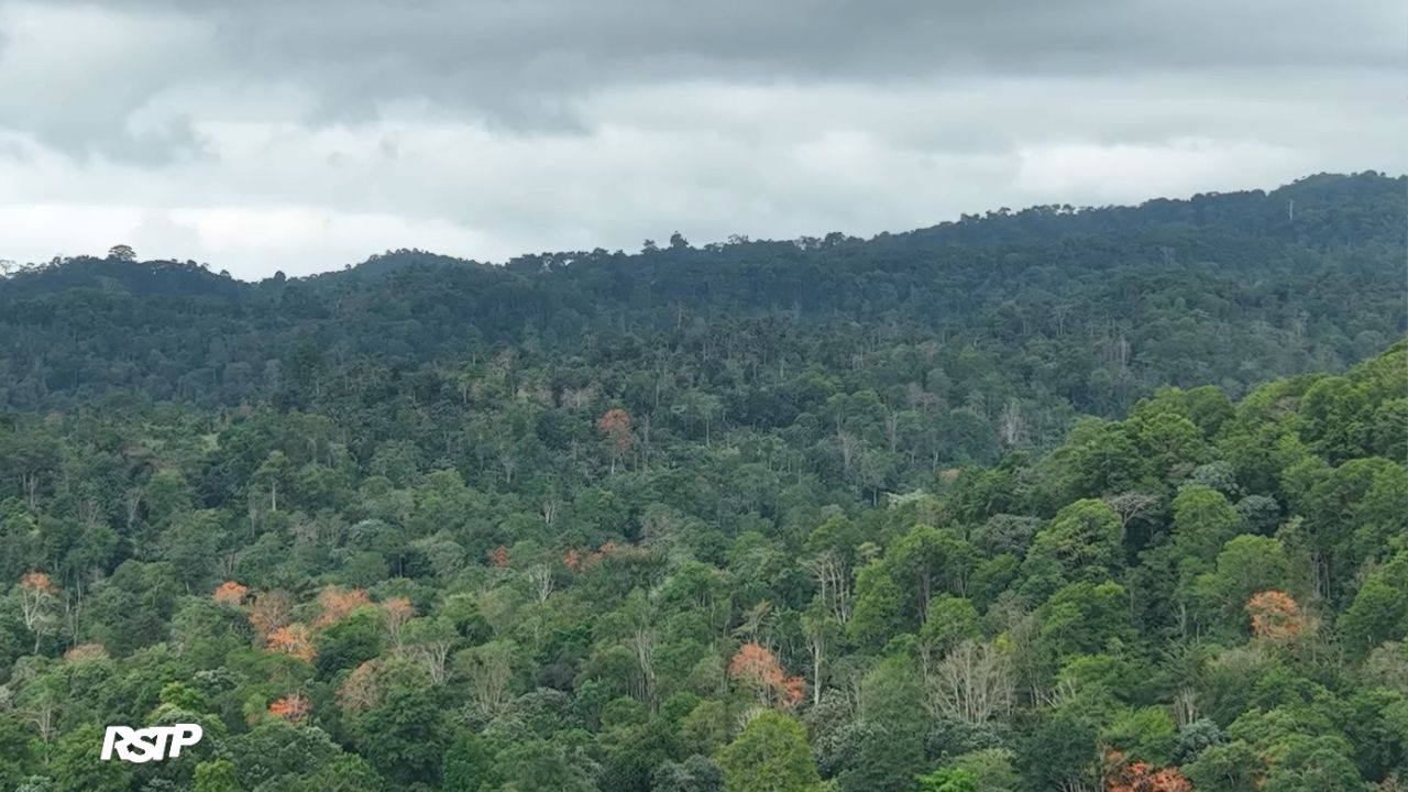 Rádio Somos Todos Primos