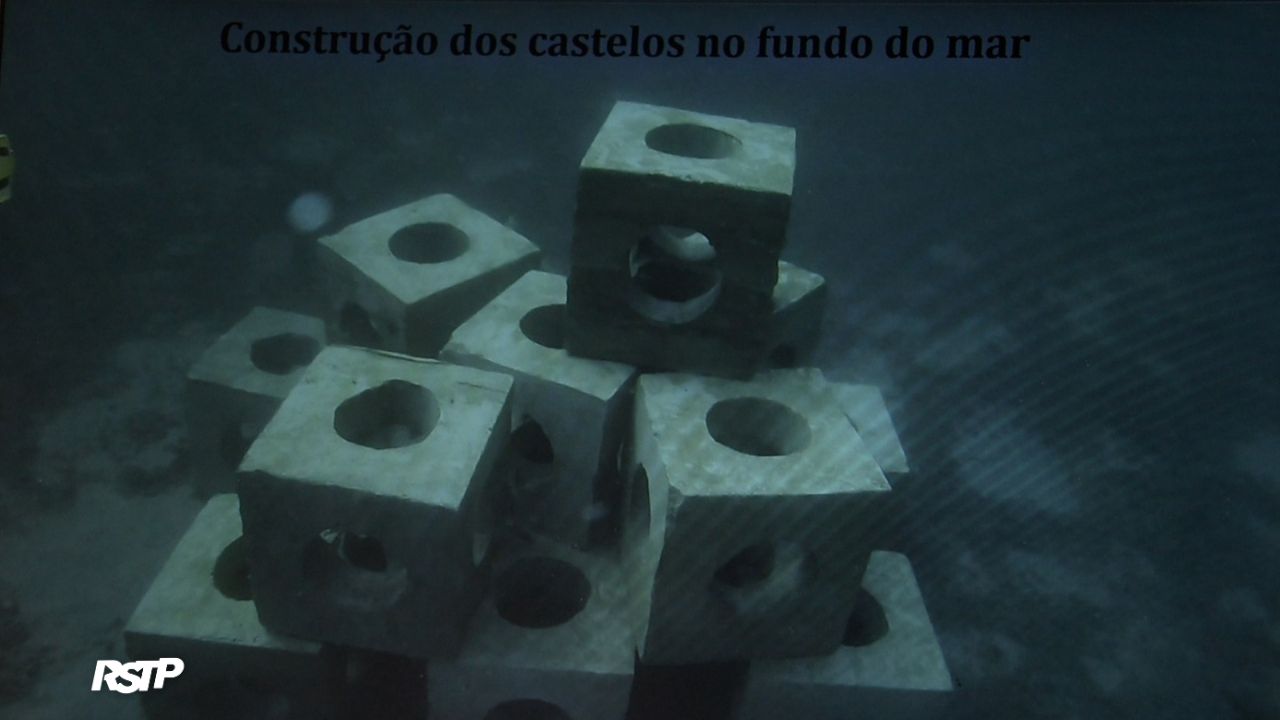 Rádio Somos Todos Primos