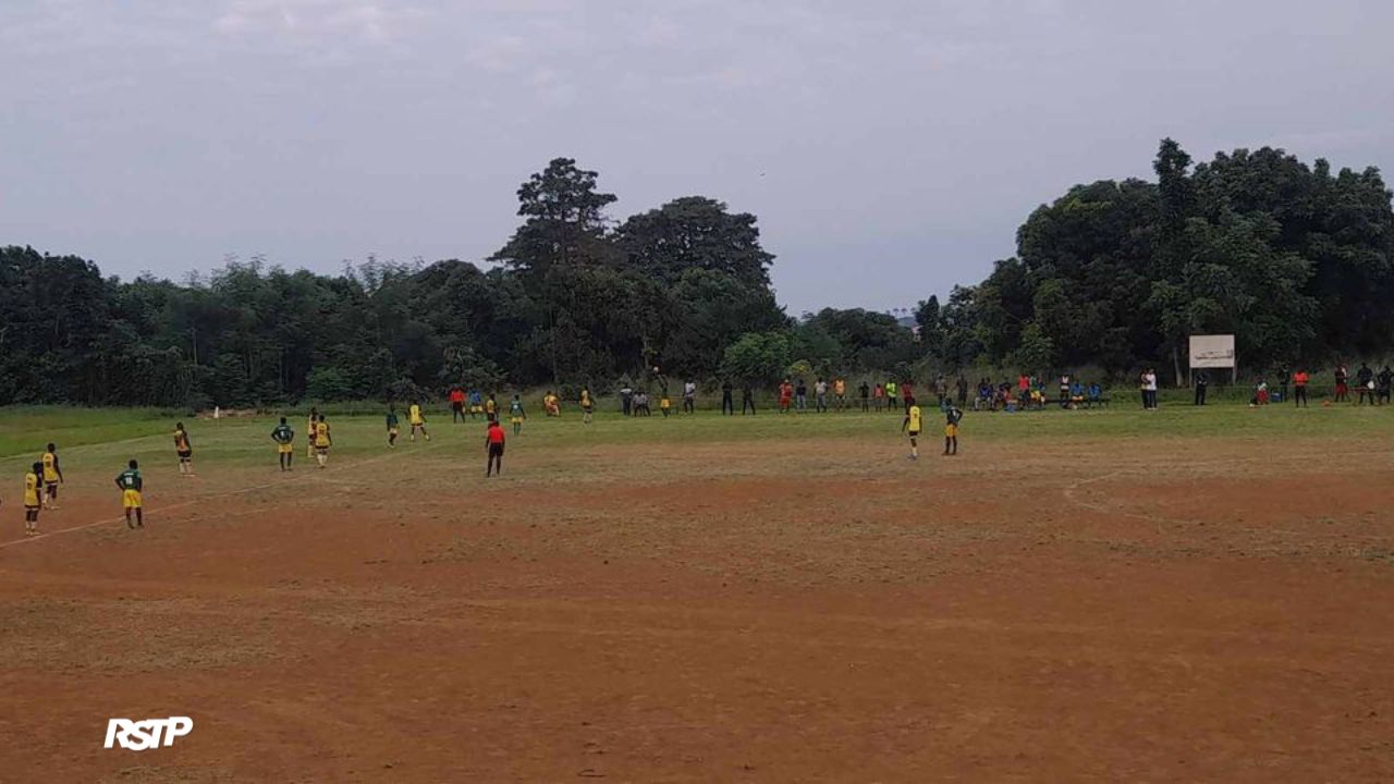 Rádio Somos Todos Primos