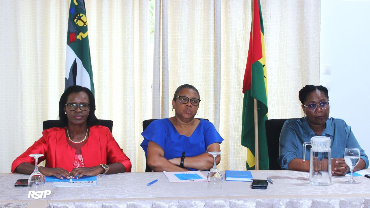 Rádio Somos Todos Primos