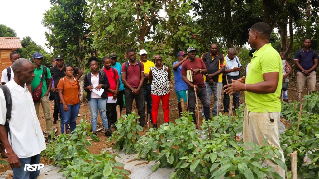 agricultores