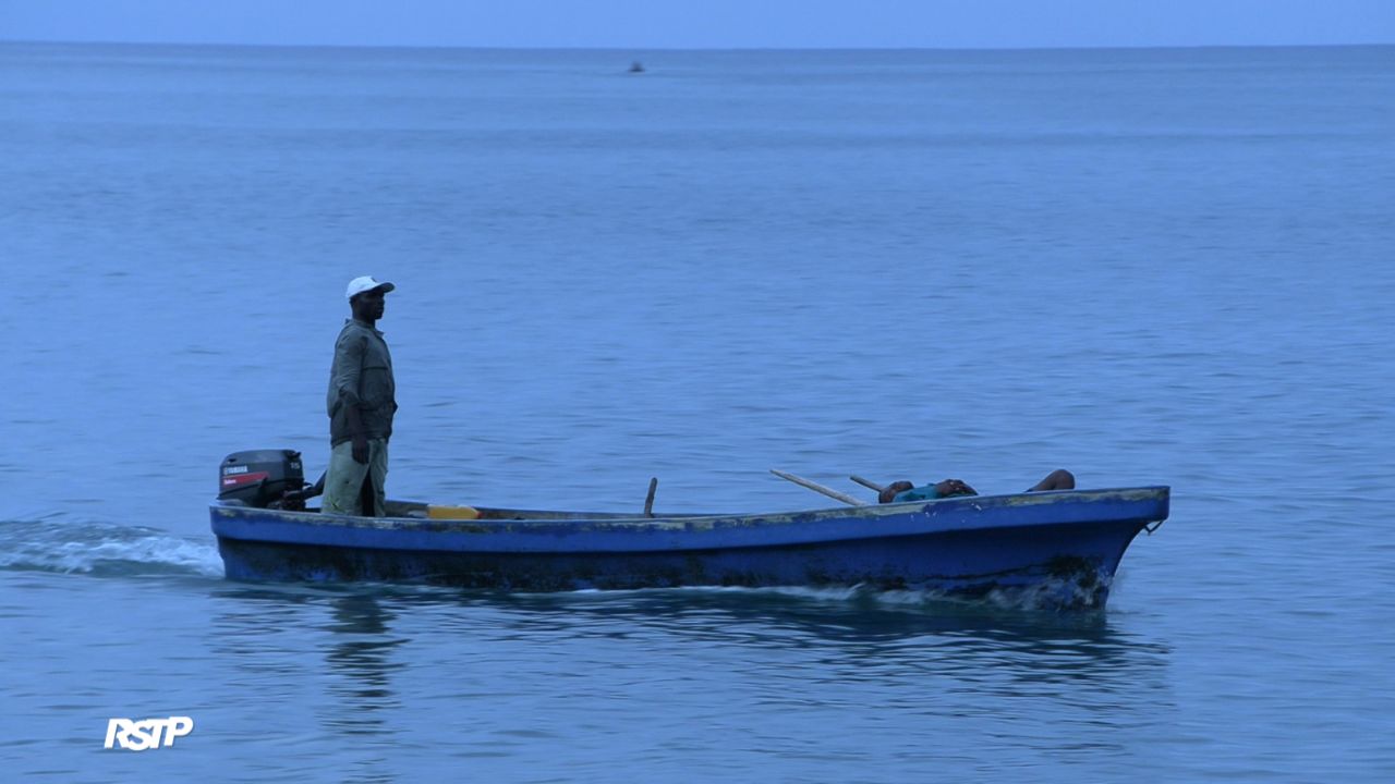 Rádio Somos Todos Primos