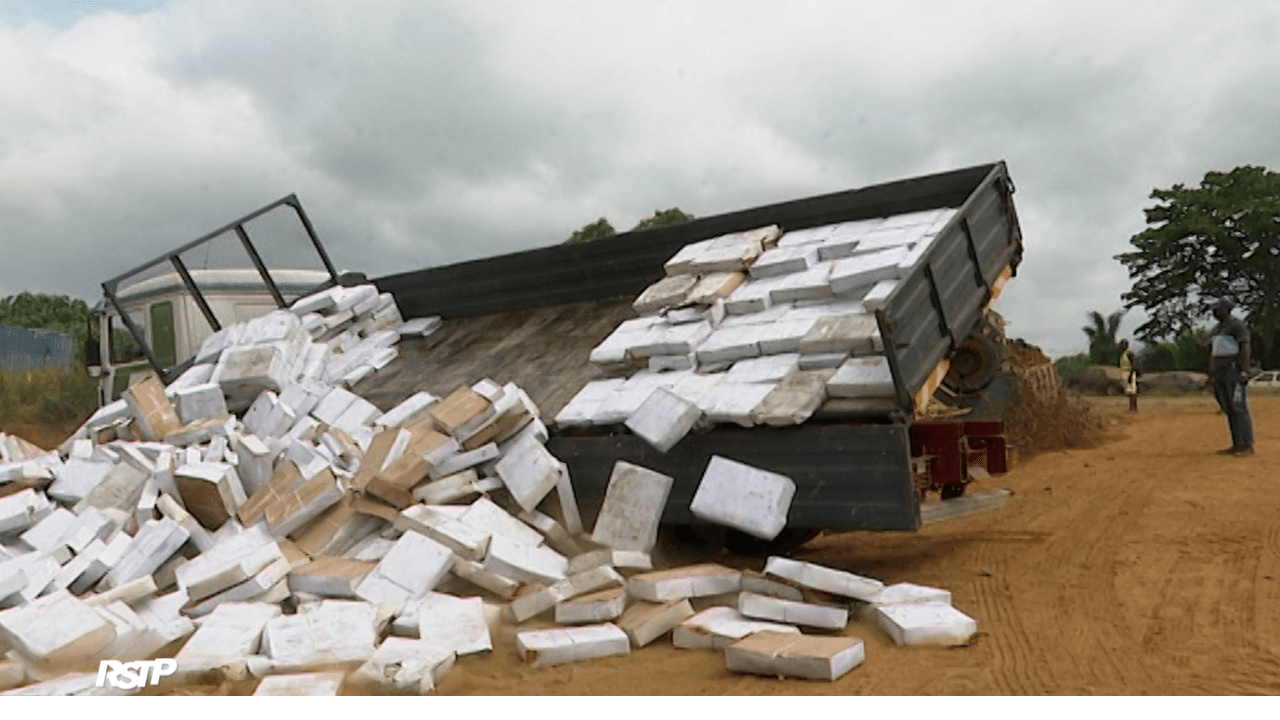 Rádio Somos Todos Primos