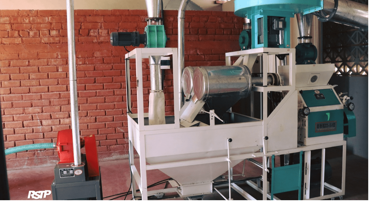 Rádio Somos Todos Primos