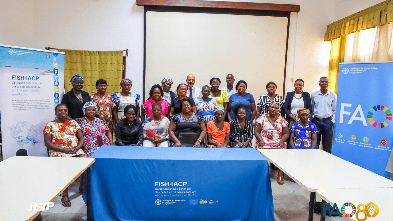 Rádio Somos Todos Primos