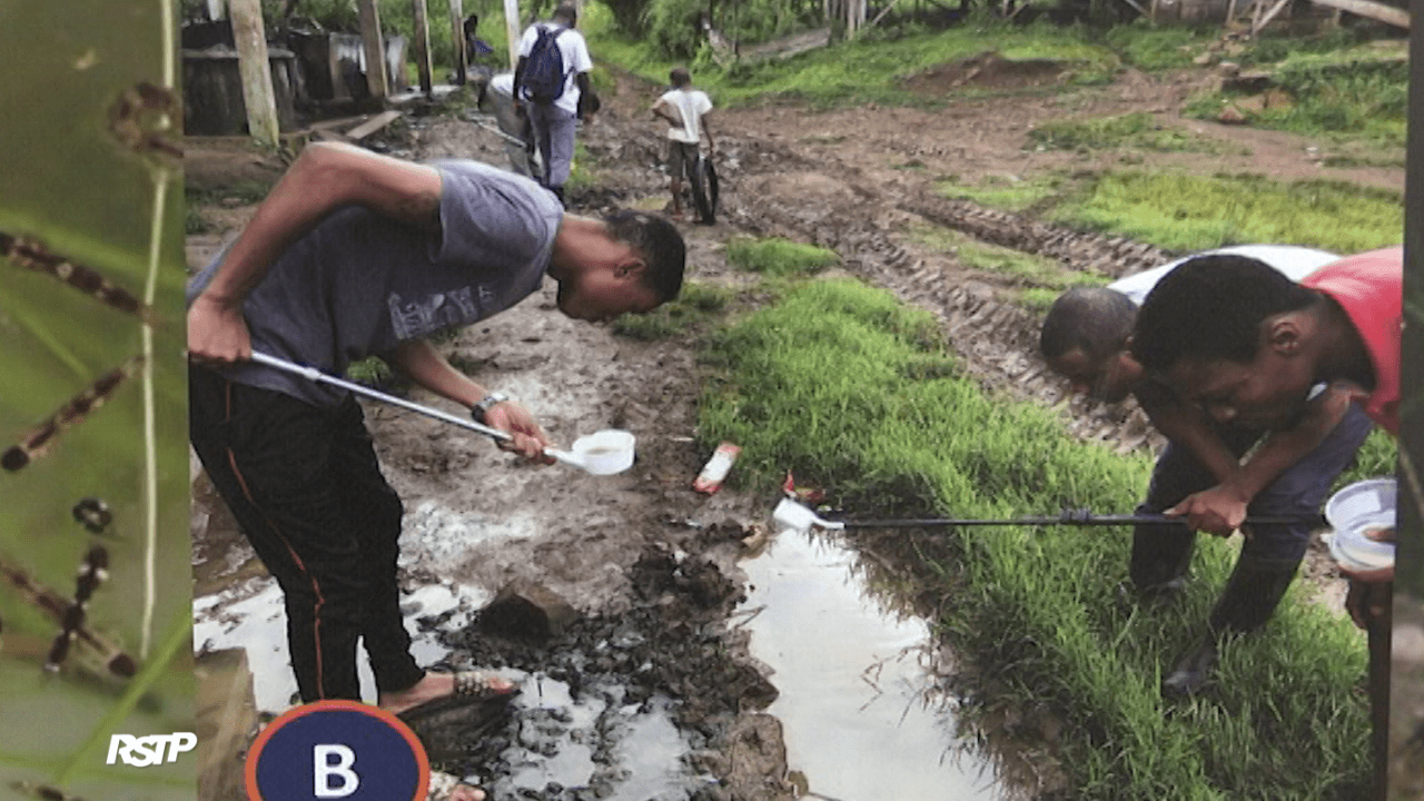 Rádio Somos Todos Primos