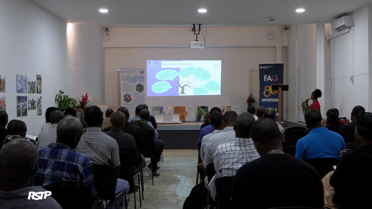 Rádio Somos Todos Primos