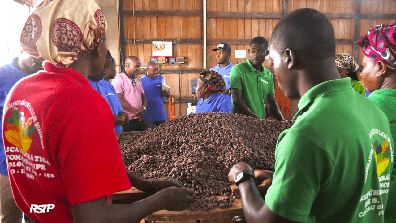 Rádio Somos Todos Primos