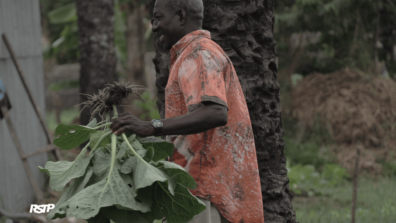 Rádio Somos Todos Primos