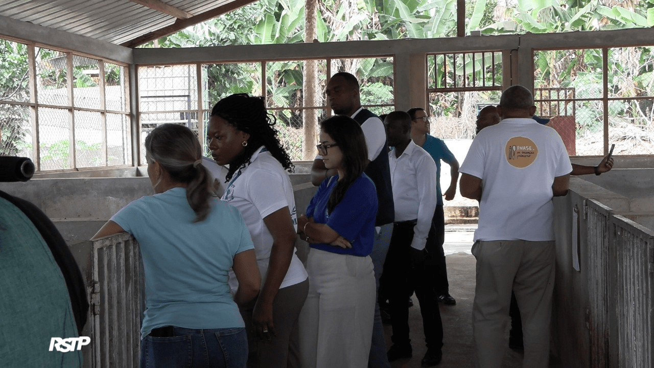 Rádio Somos Todos Primos