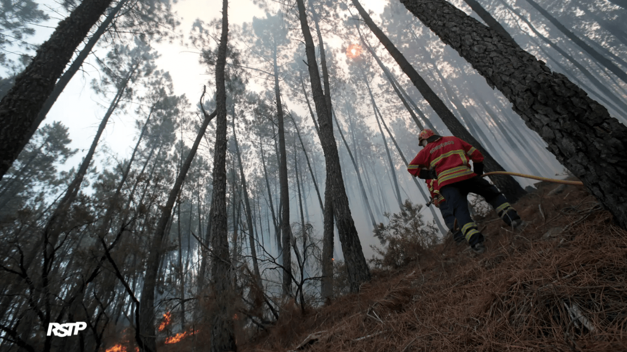 Rádio Somos Todos Primos