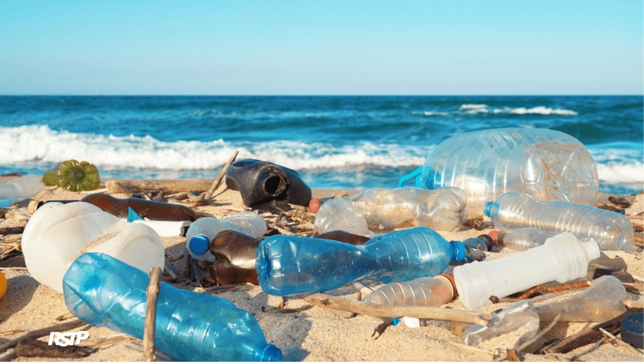 Rádio Somos Todos Primos