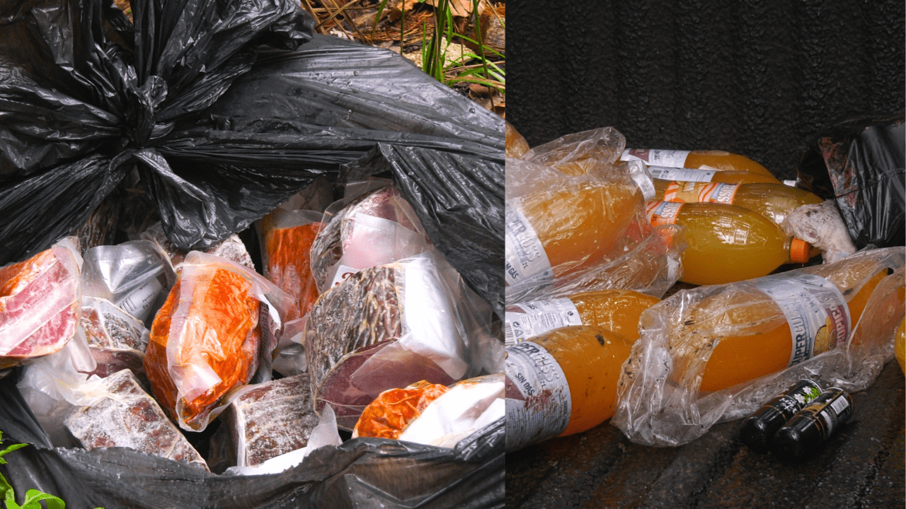 Rádio Somos Todos Primos