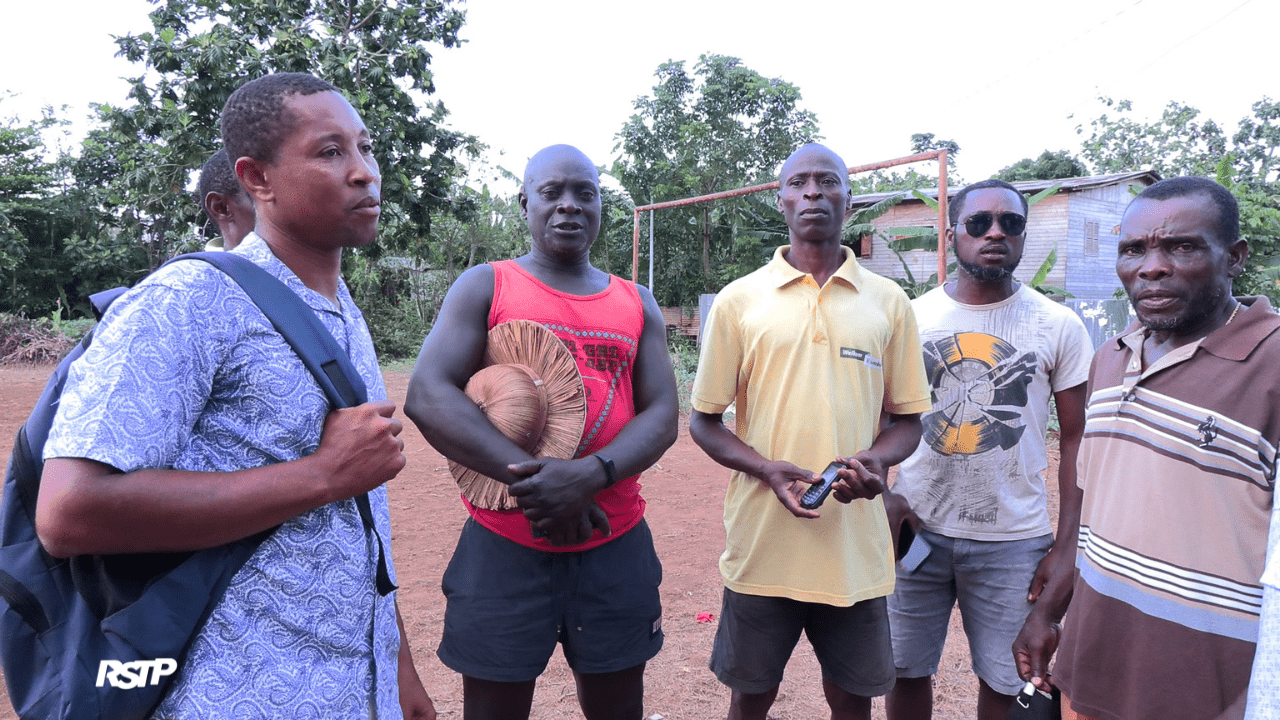 Rádio Somos Todos Primos