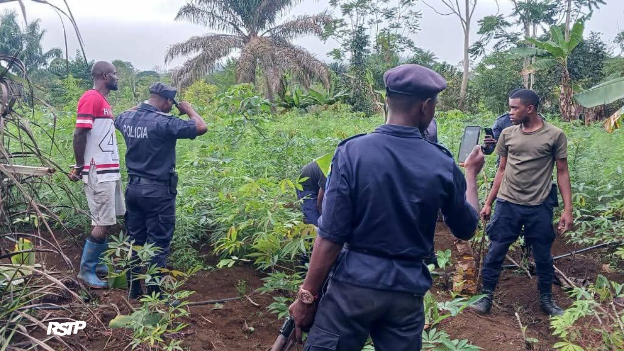 Rádio Somos Todos Primos
