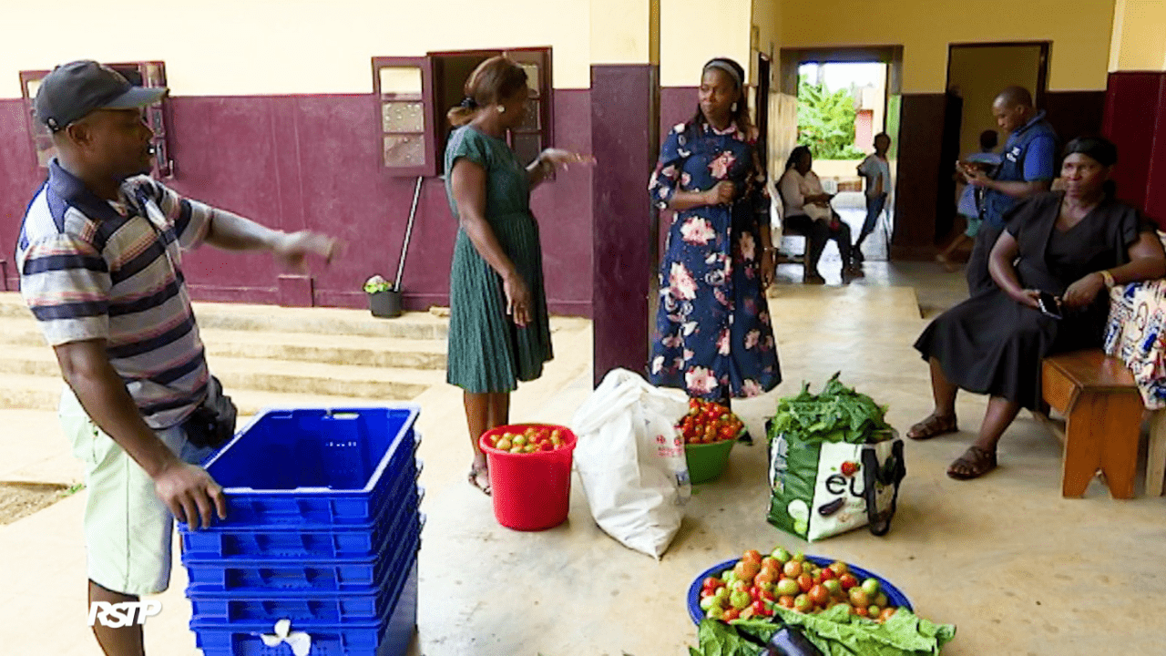 Rádio Somos Todos Primos