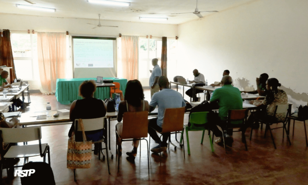 Rádio Somos Todos Primos