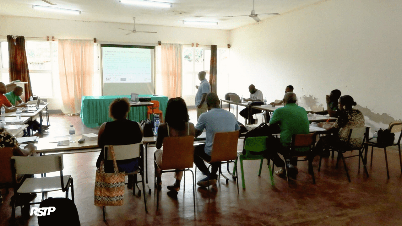 Rádio Somos Todos Primos