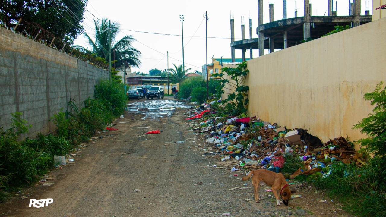 Rádio Somos Todos Primos