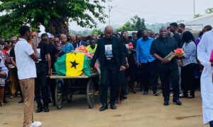 Francisco Costa Alegre