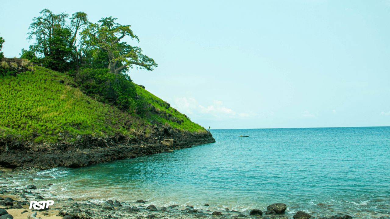 Rádio Somos Todos Primos