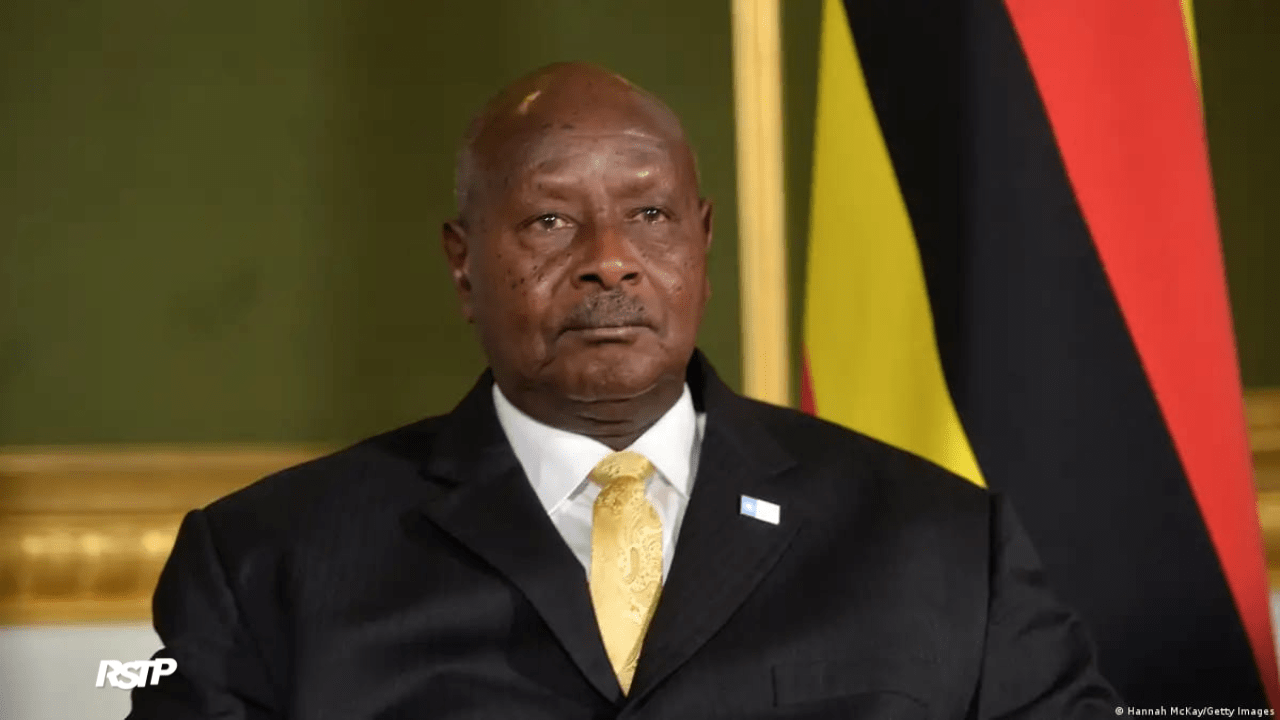 Rádio Somos Todos Primos