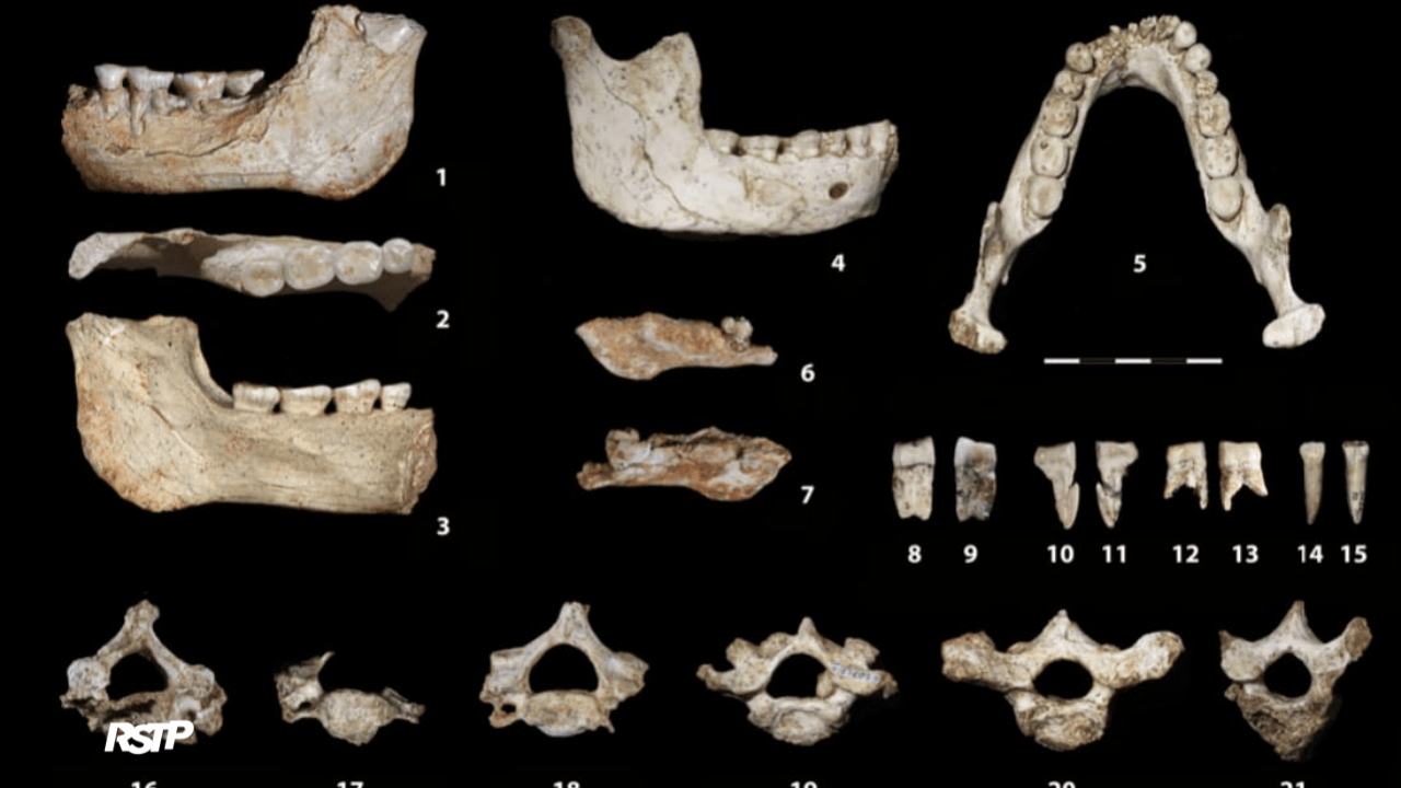 Rádio Somos Todos Primos