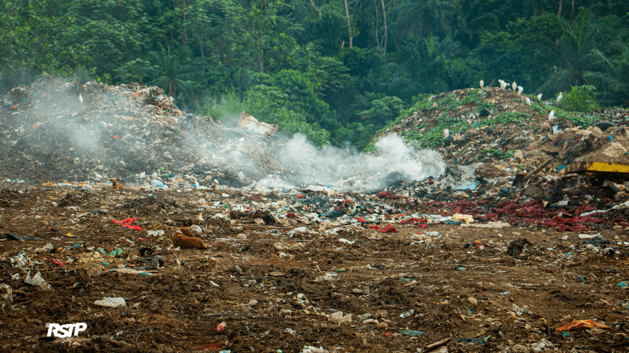 Rádio Somos Todos Primos