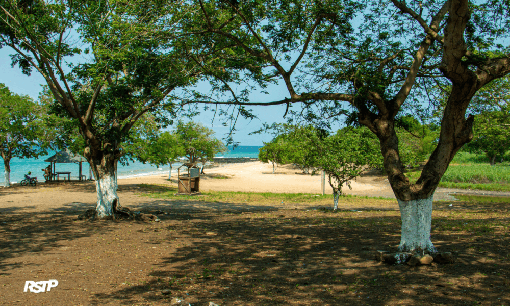 Rádio Somos Todos Primos