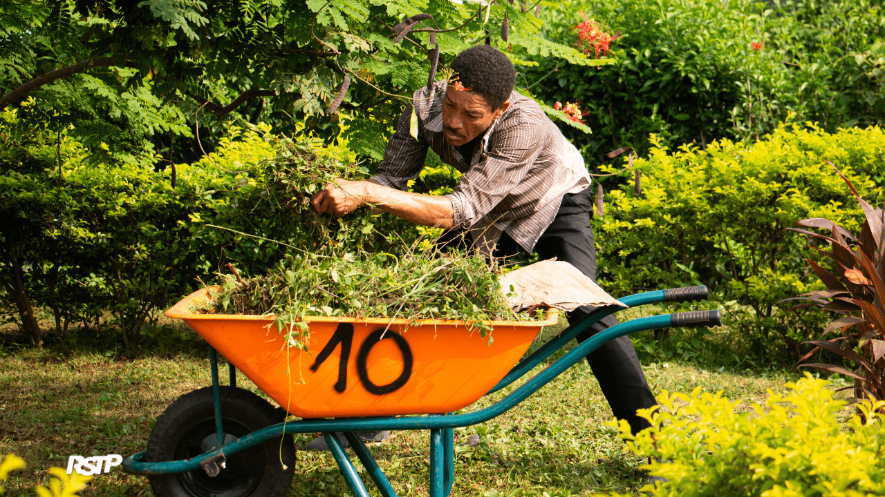 Rádio Somos Todos Primos