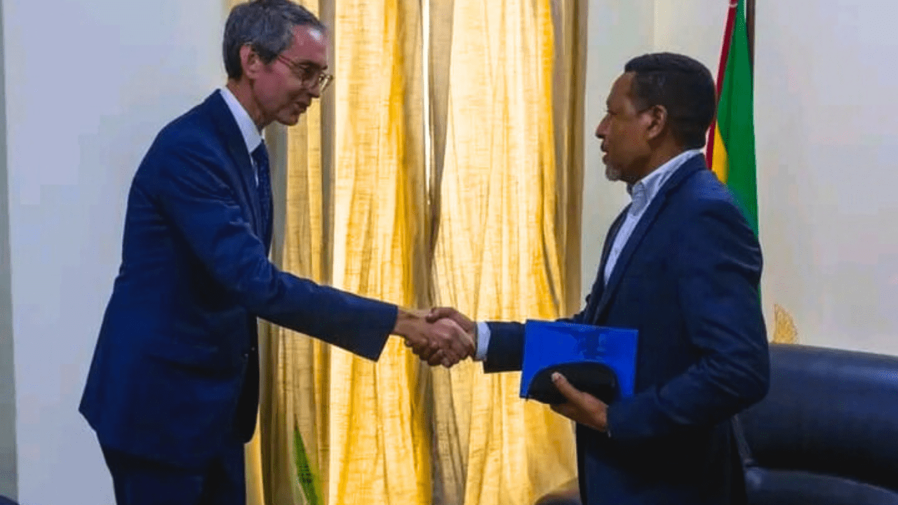 Rádio Somos Todos Primos