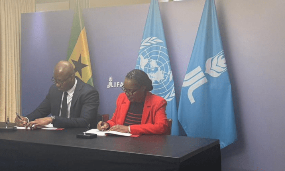 Rádio Somos Todos Primos