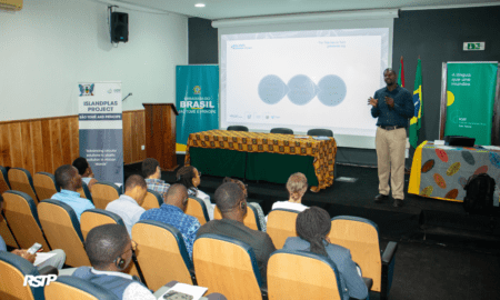 ISLANDPLAS - PLASTICO