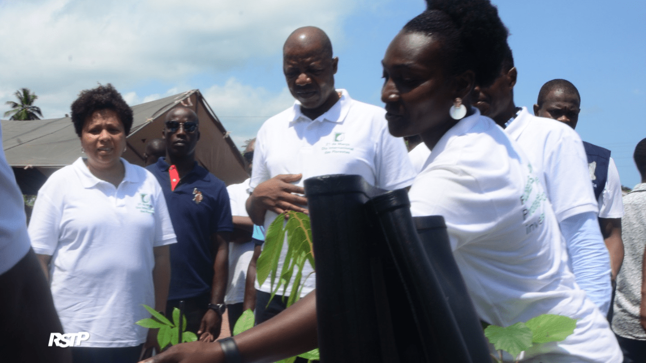 Rádio Somos Todos Primos