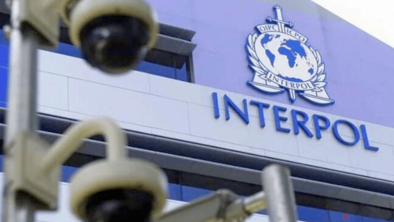 Rádio Somos Todos Primos