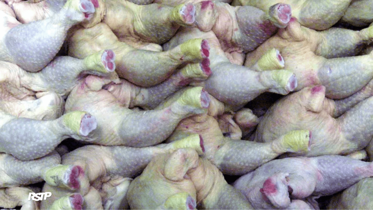 Rádio Somos Todos Primos