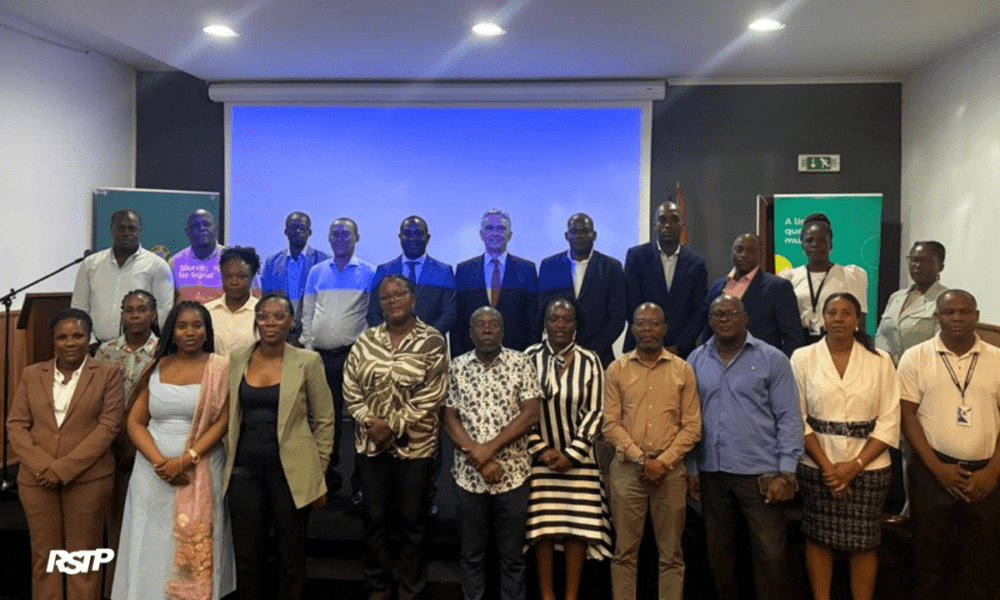 Rádio Somos Todos Primos