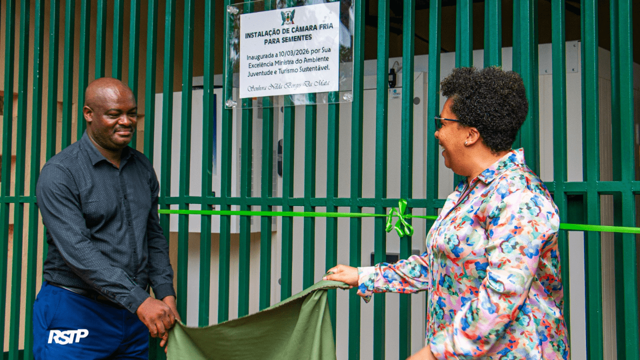 Rádio Somos Todos Primos