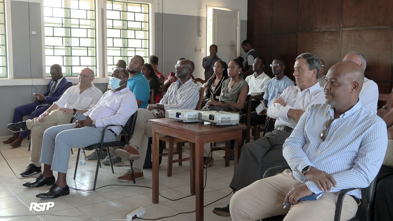 Rádio Somos Todos Primos