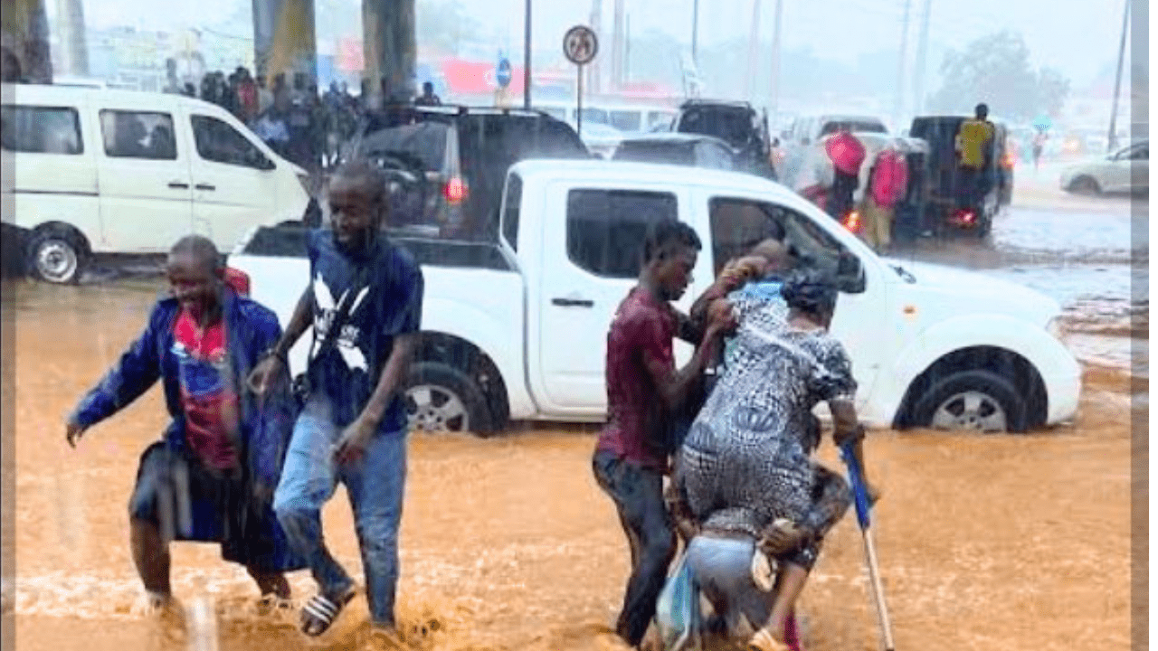 Rádio Somos Todos Primos